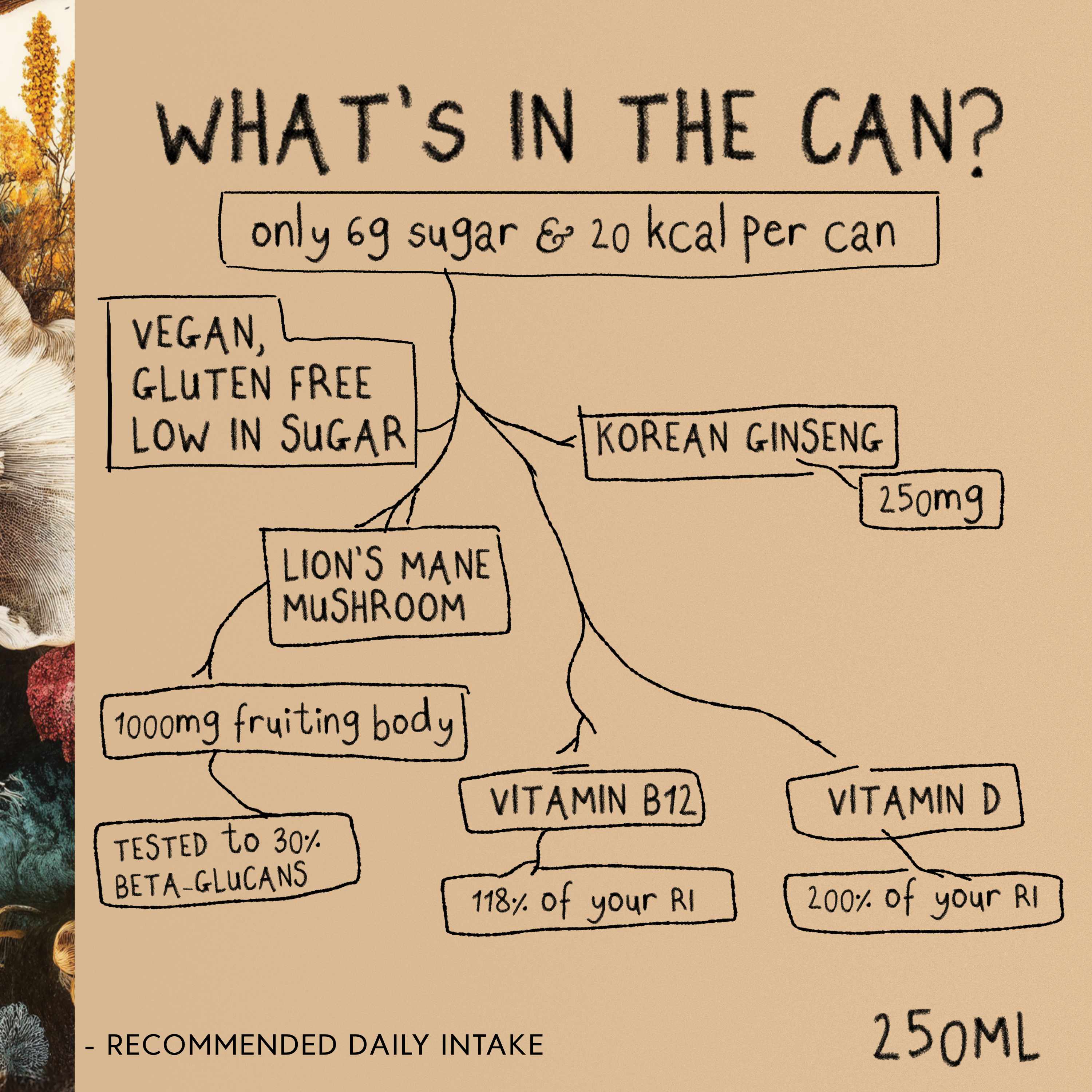 Liquid FOCUS | Nootropic Drink