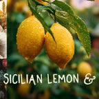 Liquid FOCUS | Nootropic Drink