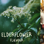 Liquid FOCUS | Nootropic Drink