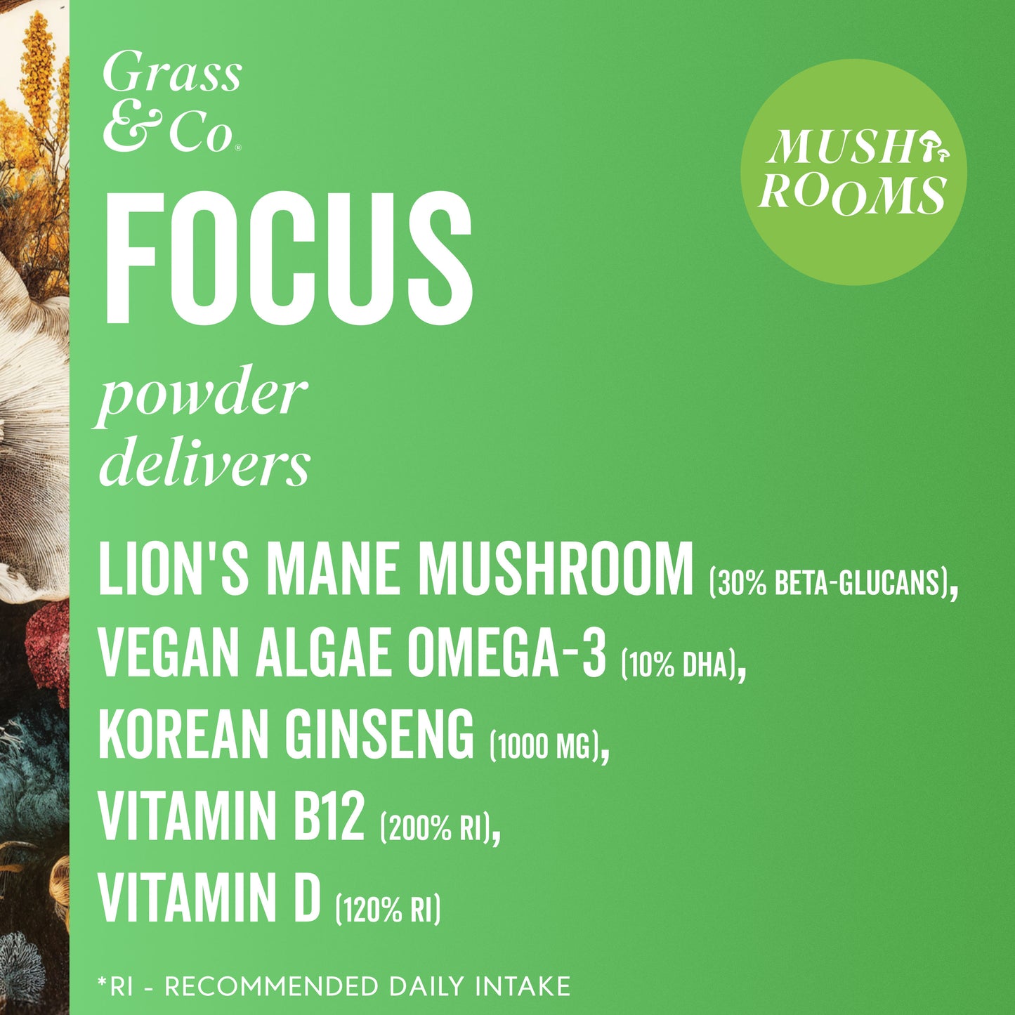 FOCUS | Lion's Mane Mushroom Powder