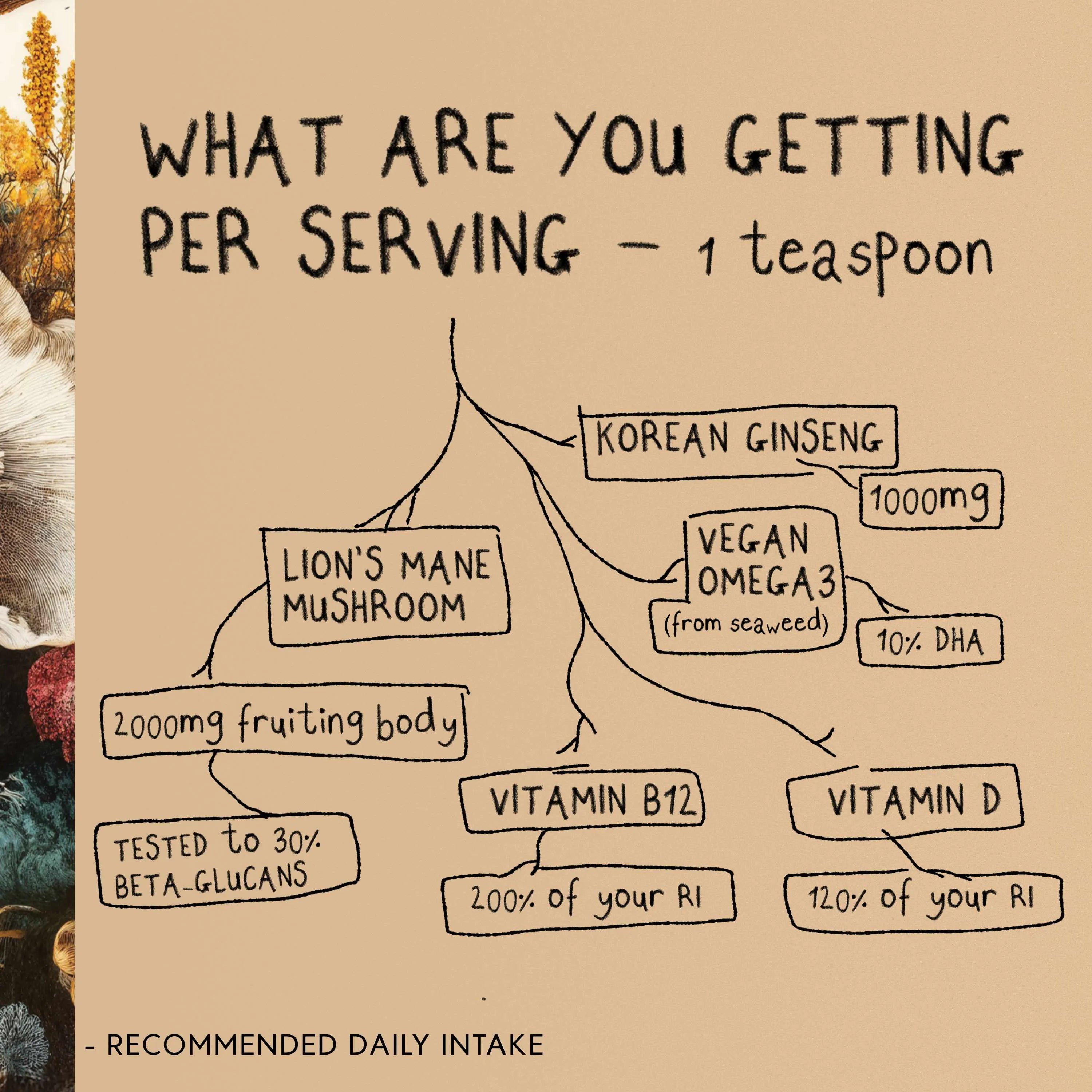 FOCUS | Lion's Mane Mushroom Powder