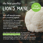 FOCUS | Lion's Mane Mushroom Powder