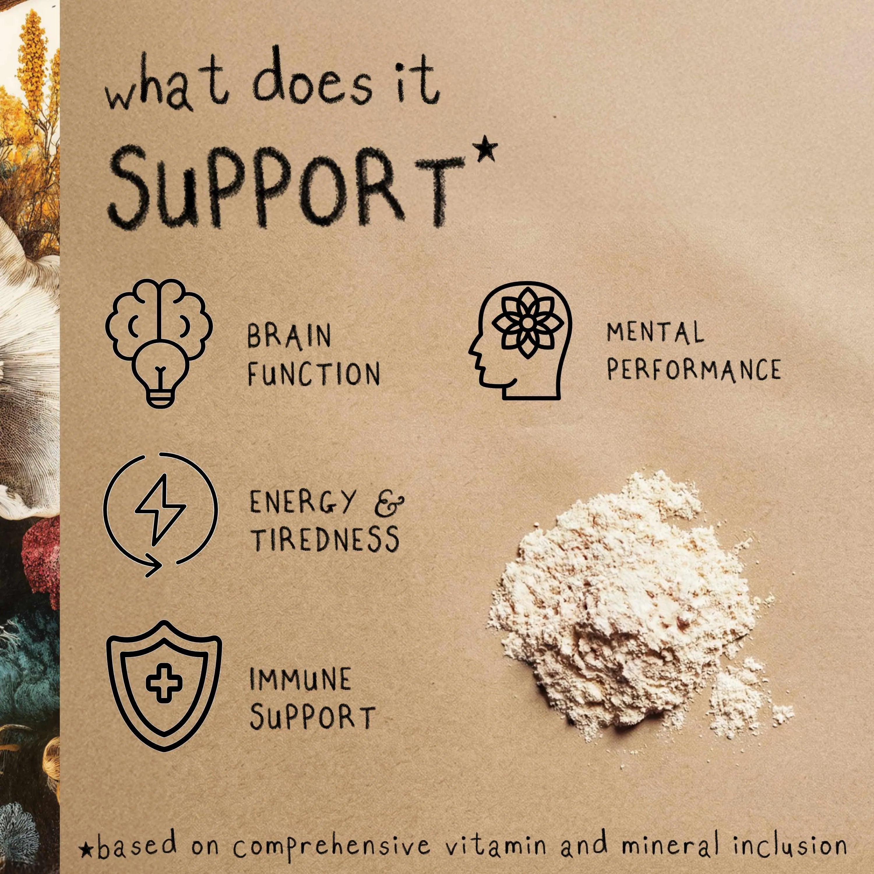 FOCUS | Lion's Mane Mushroom Powder