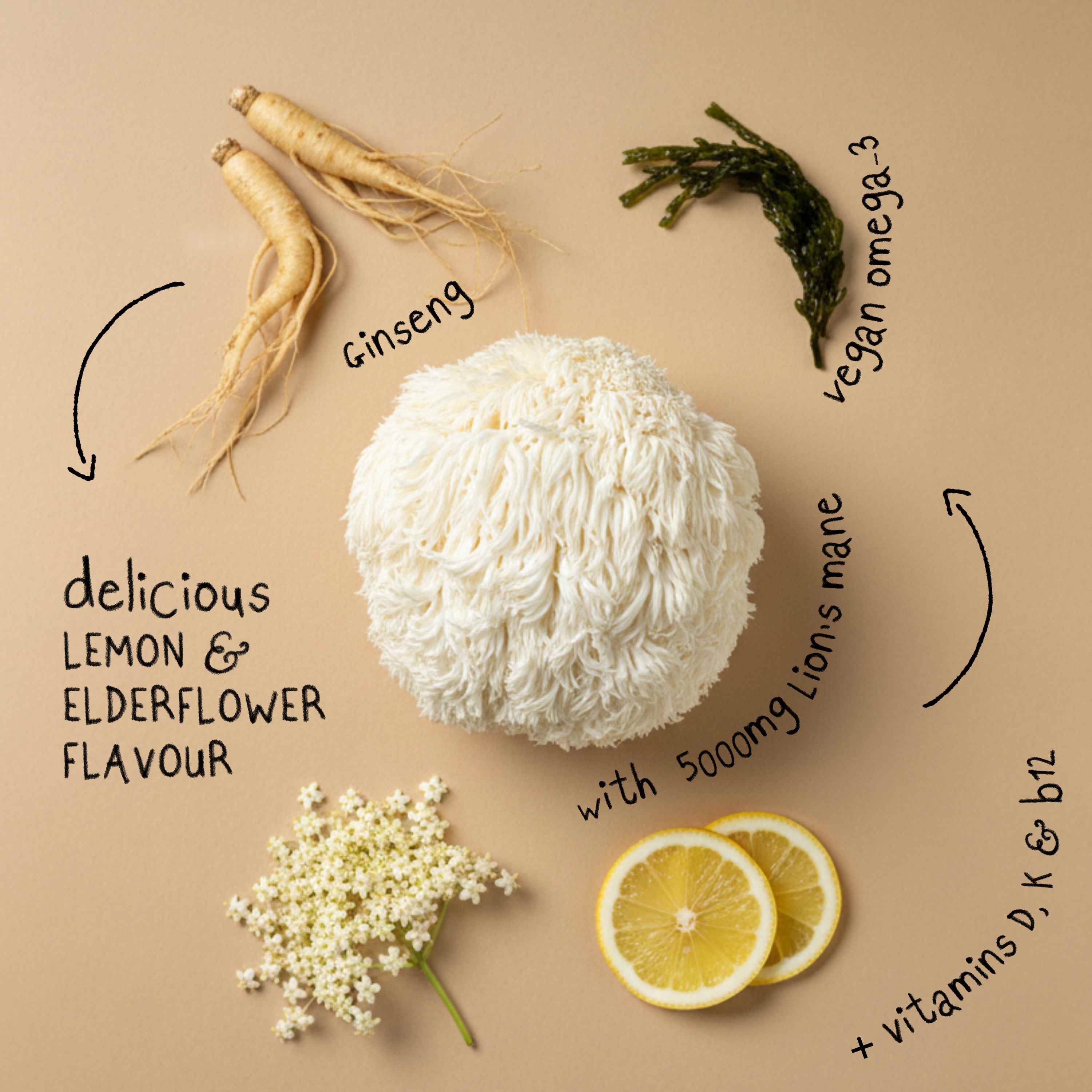 FOCUS MAX | Lion's Mane Mushroom Gummies