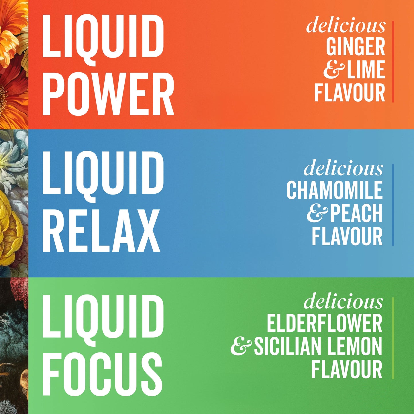 Nootropic Drinks | Mixed Packs