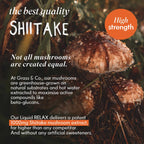 Liquid POWER | Nootropic Drink