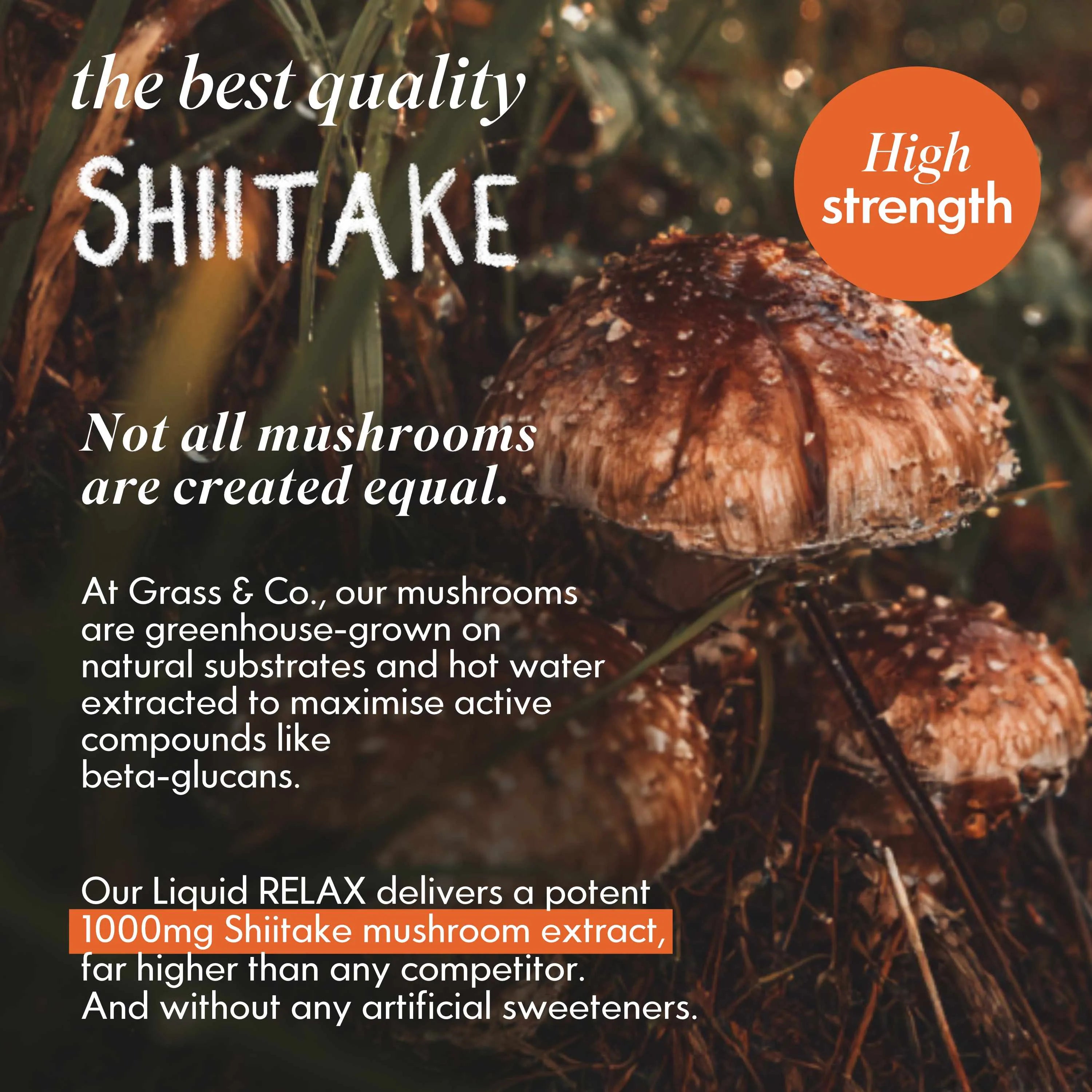 Liquid POWER | Nootropic Drink