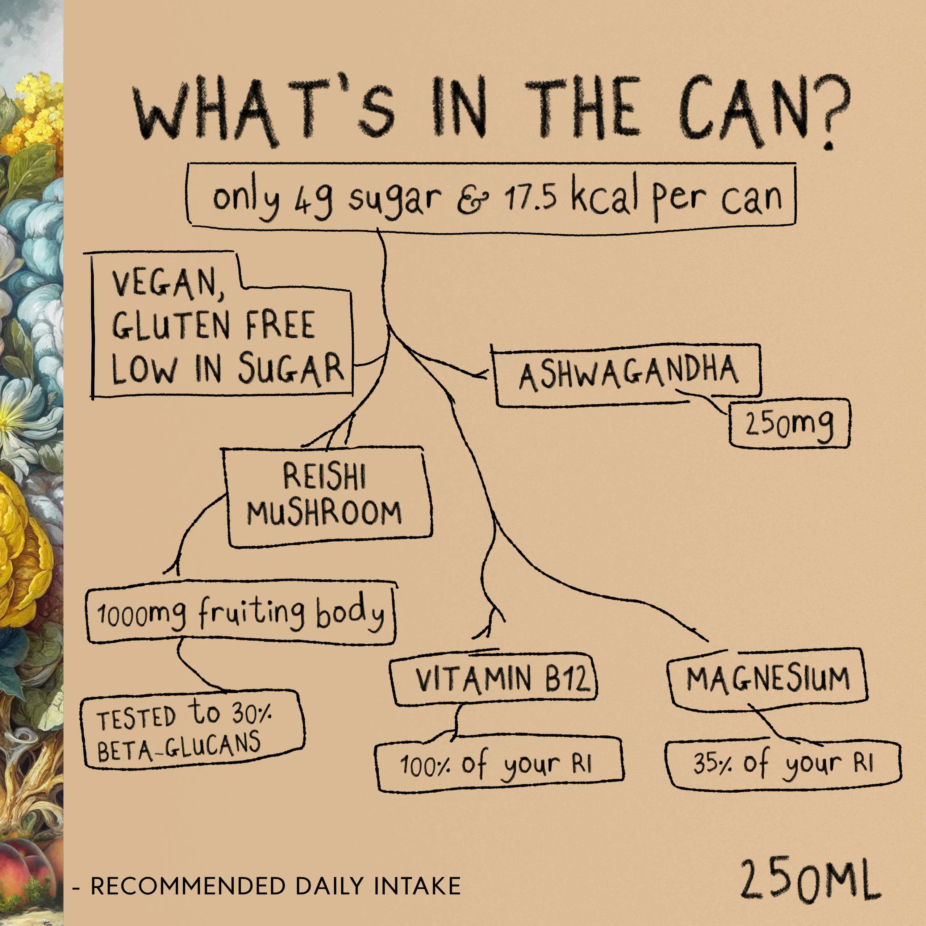 Liquid RELAX | Nootropic Drink