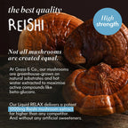 Liquid RELAX | Nootropic Drink