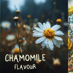 Liquid RELAX | Nootropic Drink