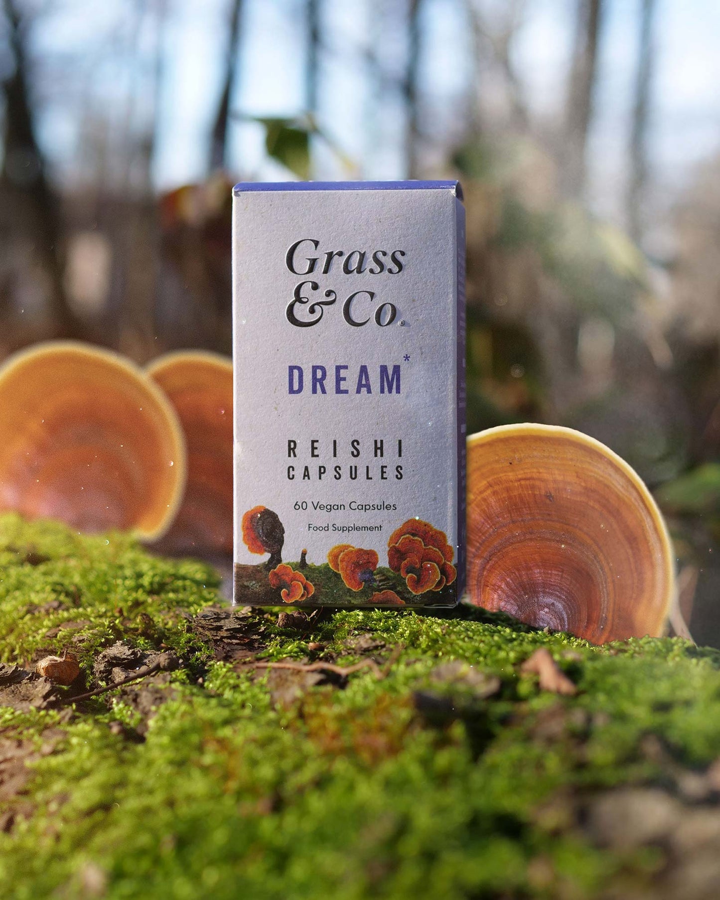 DREAM | Reishi Mushroom Capsules