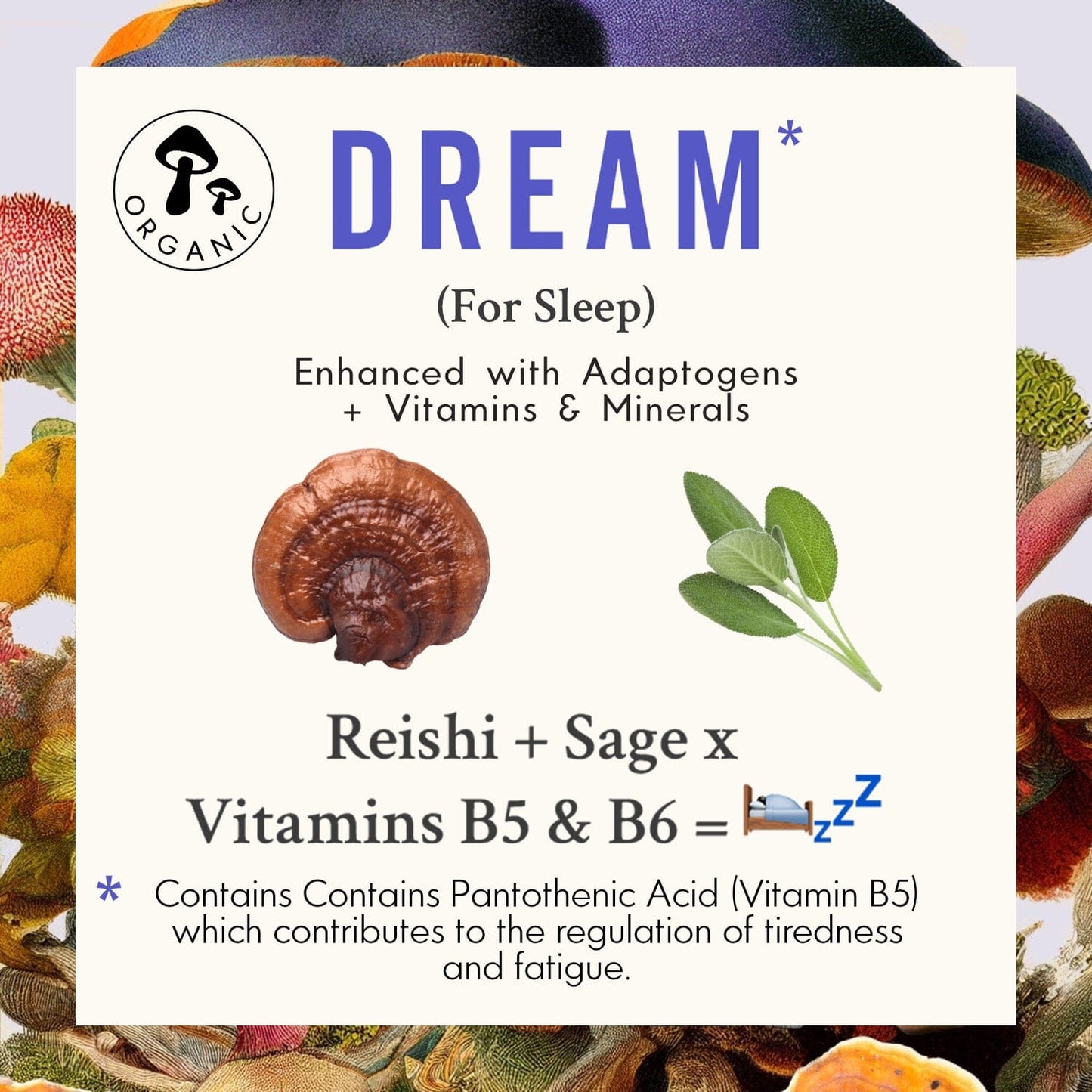 DREAM | Reishi Mushroom Capsules
