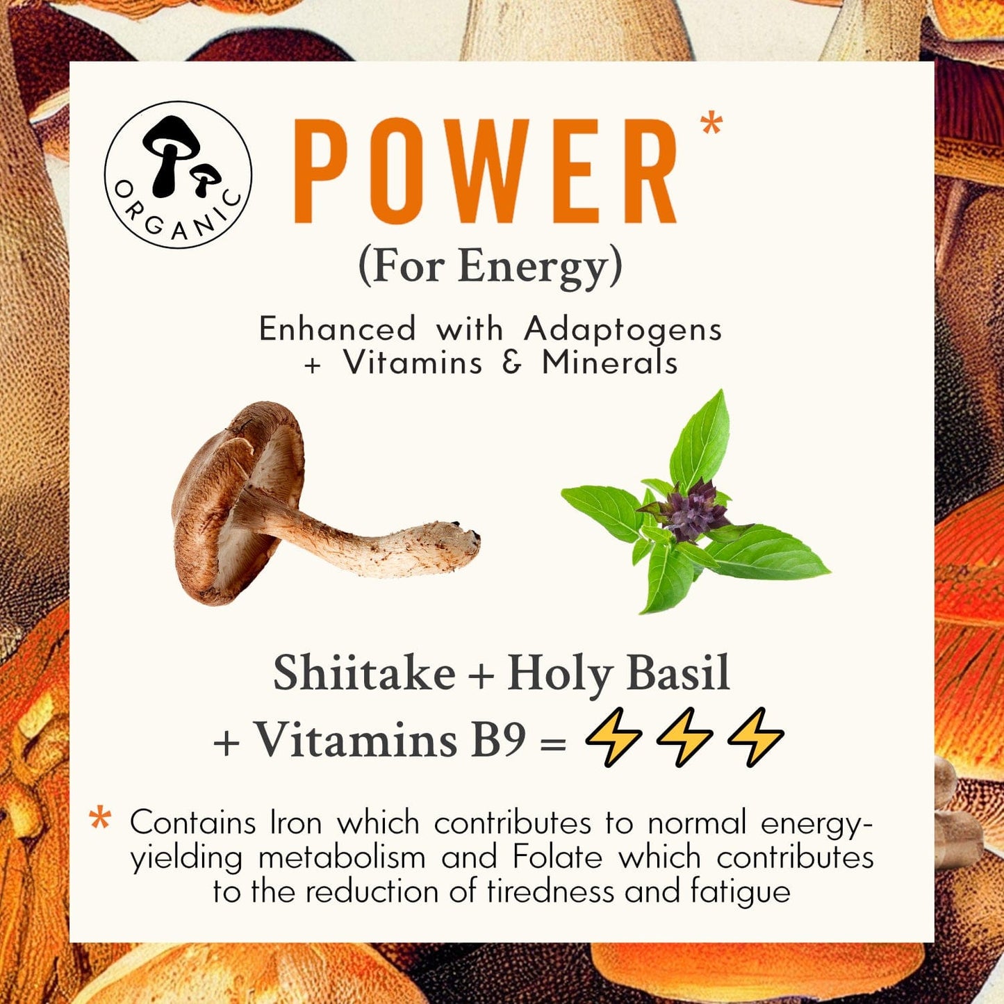 POWER | Shiitake Mushroom Capsules